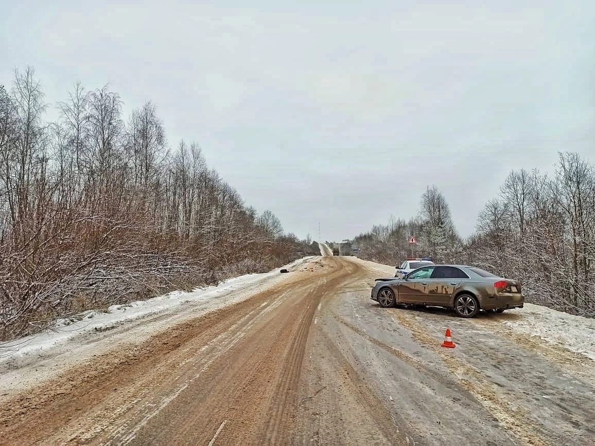 Чекшино погода карта