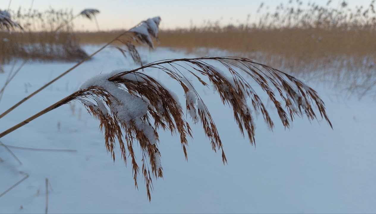 «зима