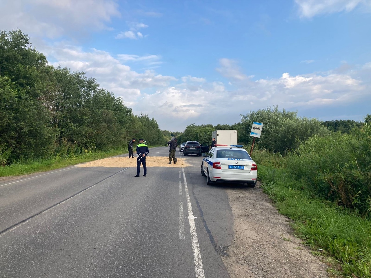 Под Череповец направили дополнительную бригаду ветеринаров | 27.07.2023 |  Череповец - БезФормата