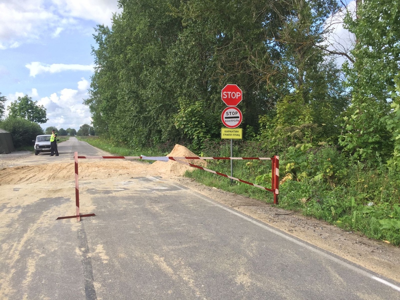 Под Череповец направили дополнительную бригаду ветеринаров | 27.07.2023 |  Череповец - БезФормата