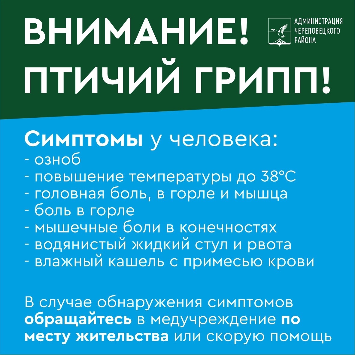 Опубликован список деревень вокруг Череповца, где осмотрят птицу на предмет  заражения | 26.07.2023 | Череповец - БезФормата