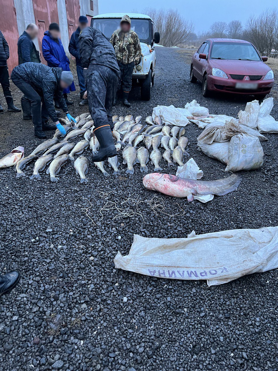 Трех инспекторов Дарвинского заповедника поймали на браконьерстве |  02.10.2023 | Череповец - БезФормата