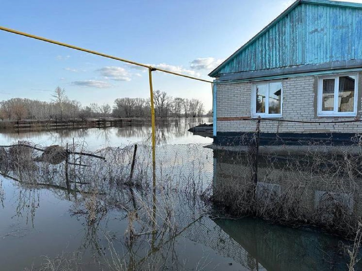 Наводнение в Орске: одни люди тонут, другие ловят рыбу мешками - фото -  ГородЧе