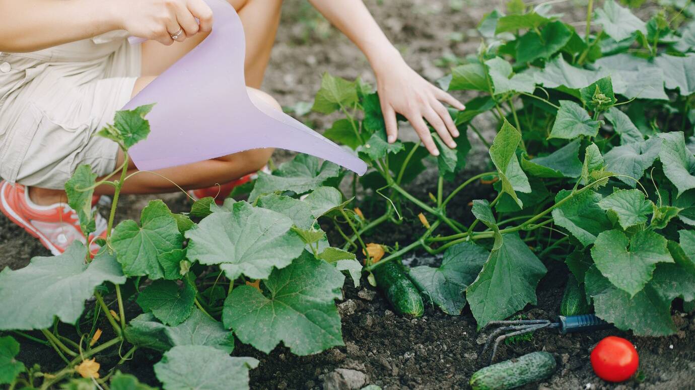 beautiful-woman-works-garden_1157-24636