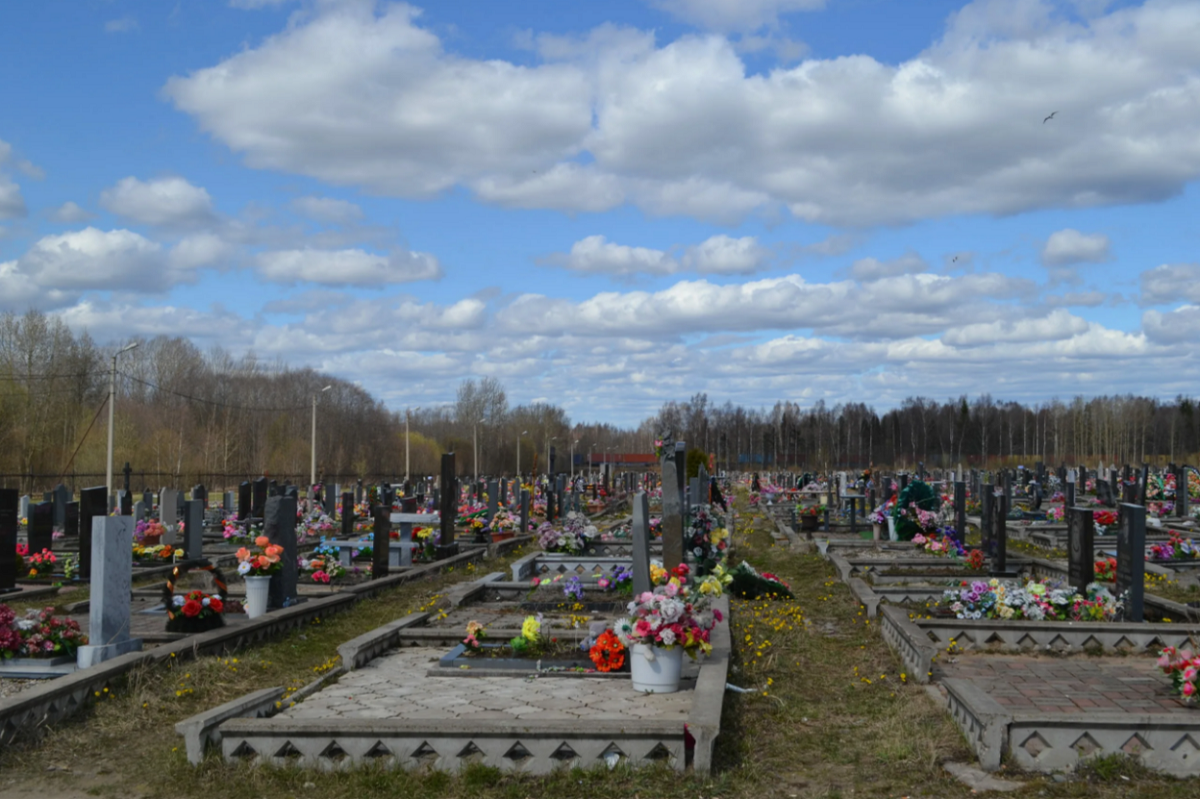 На Вологодчине заявили о необходимости привести в порядок кладбища - ГородЧе