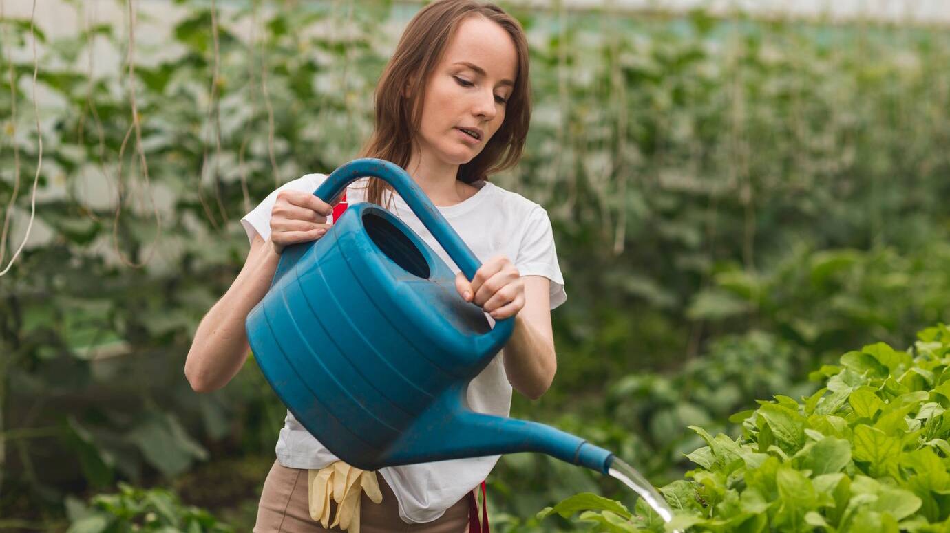 woman-taking-care-plants-greenhouse_23-2148200849