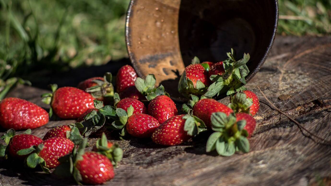 closeup-shot-fresh-strawberries-fallen-out-bowl-wooden-surface_181624-19494