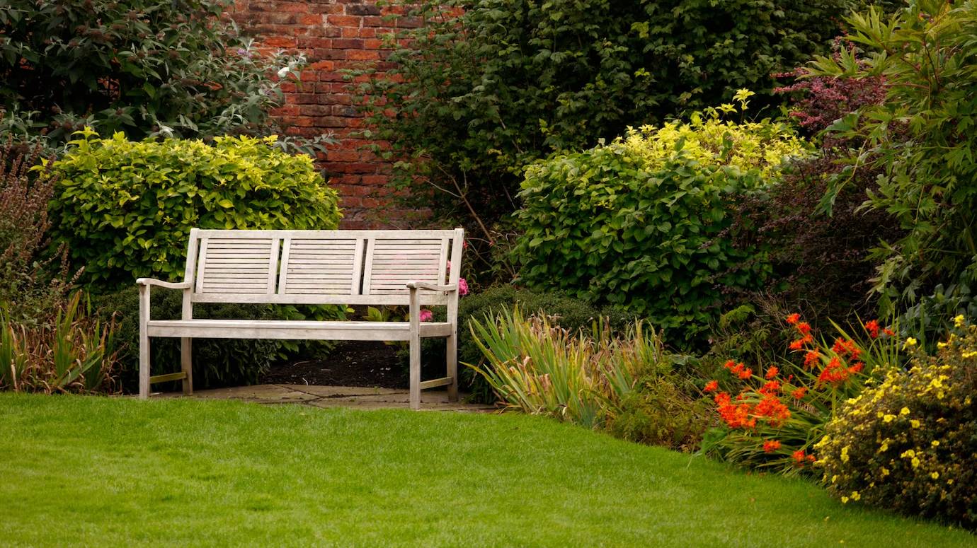 shot-white-bench-park_181624-48161