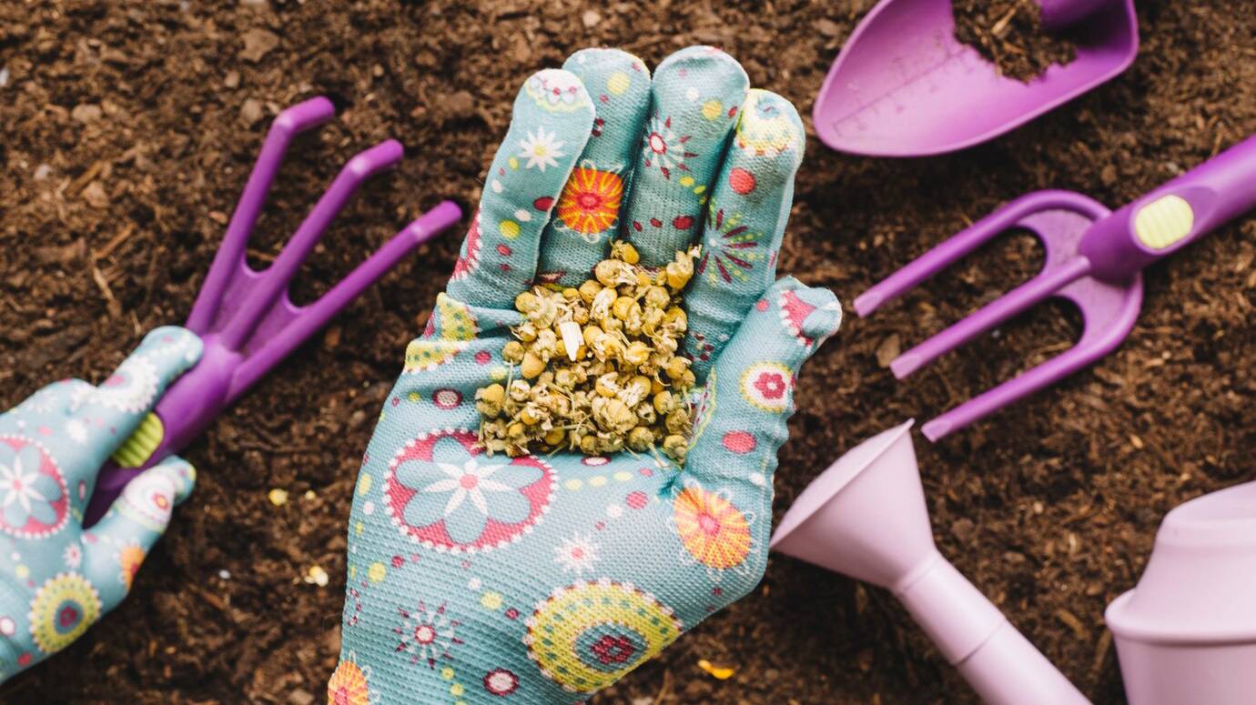 gardening-concept-with-seeds-hand_23-2147673254