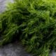 picture-green-dill-grey-table_176420-6840