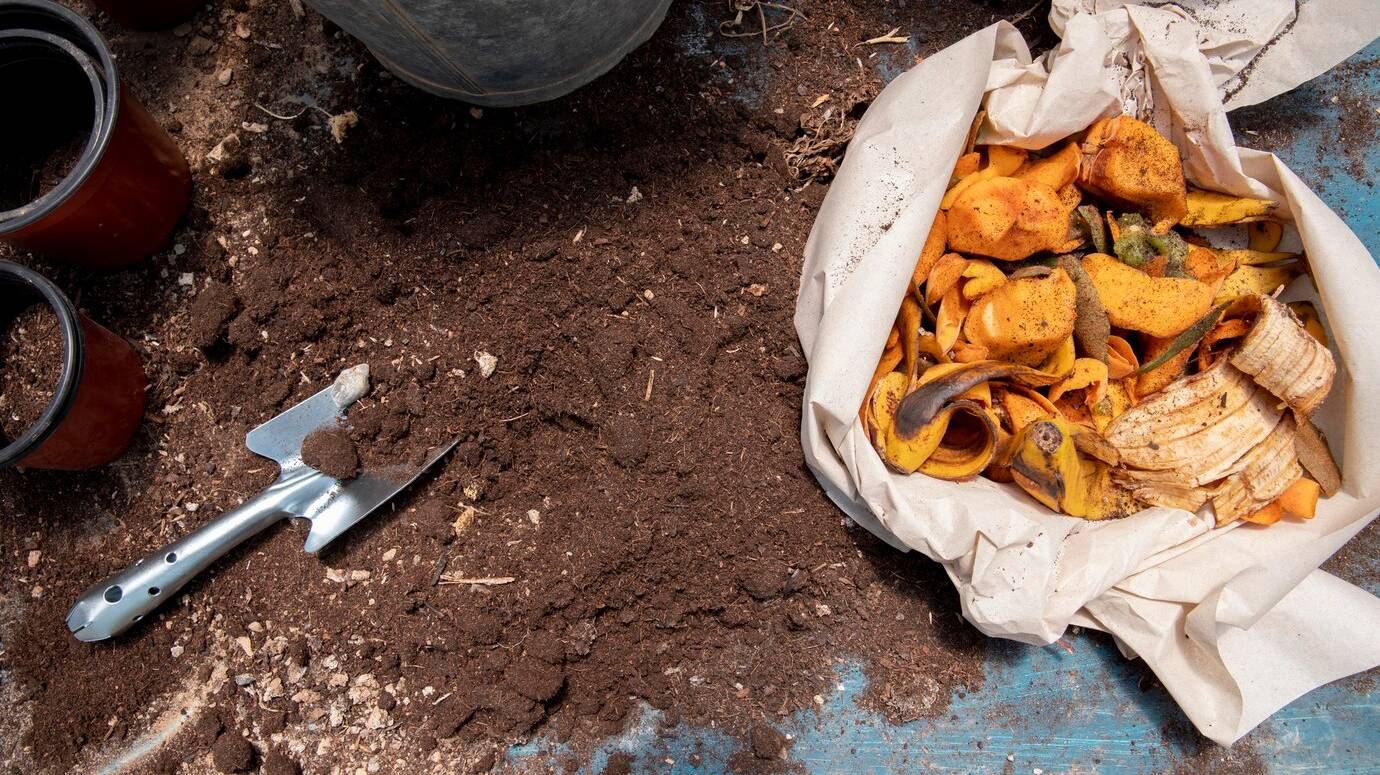 compost-still-life-concept_23-2149068932