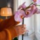 woman-decorating-her-home-with-orchids_23-2150960651