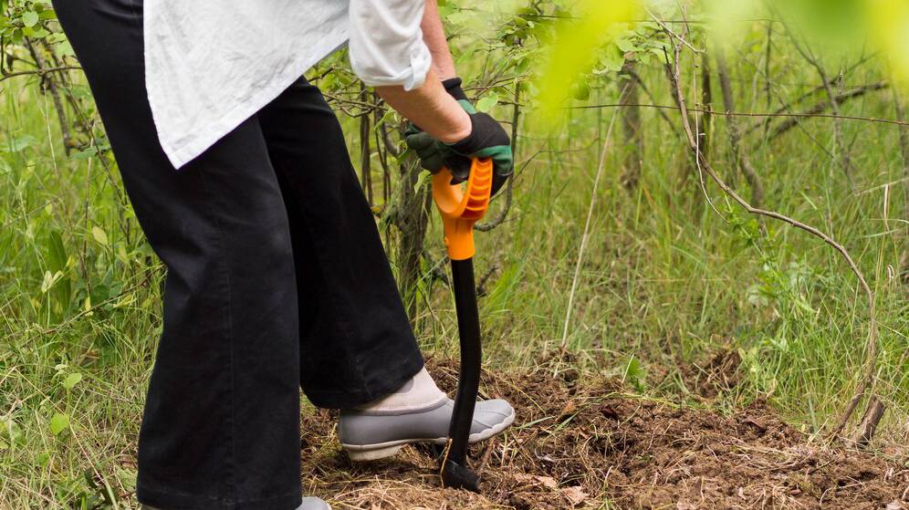 woman-digging-her-garden_23-2148580065