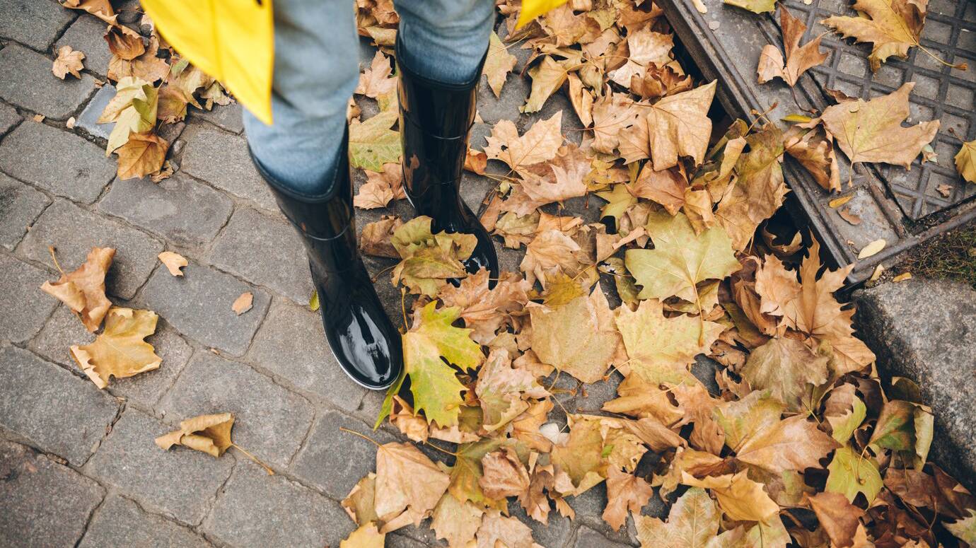 cropped-photo-girl-dressed-rubber-boots_171337-3447