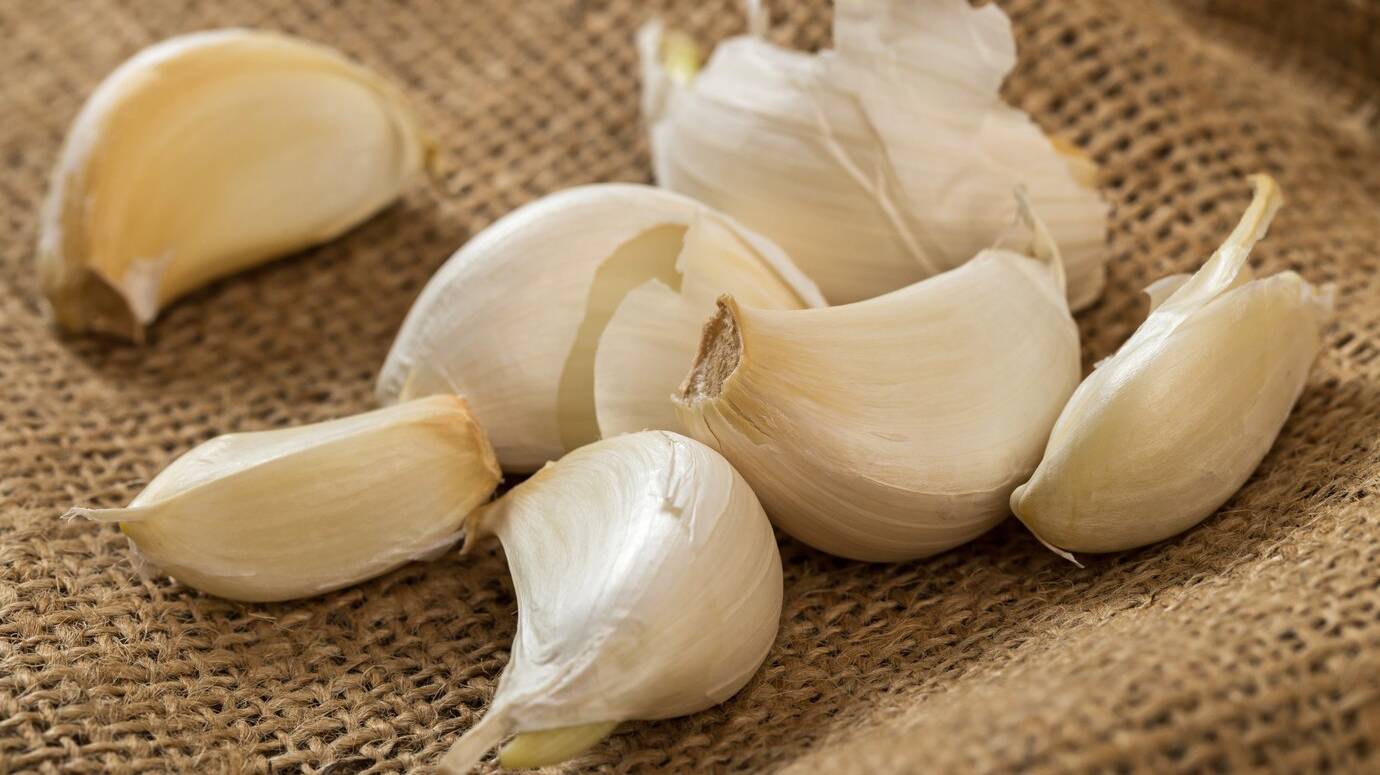 garlic-blanket_144627-12001