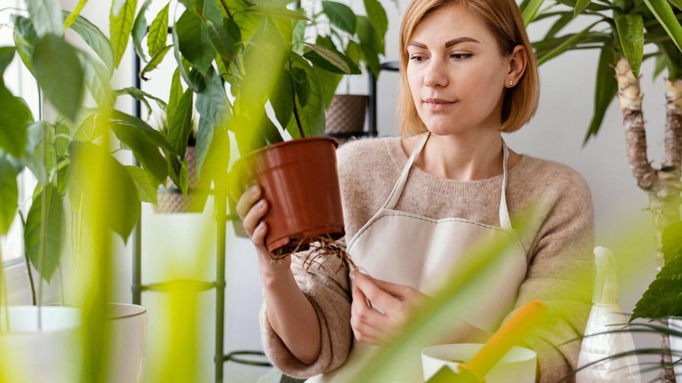 medium-shot-woman-holding-plant-roots_23-2148826076