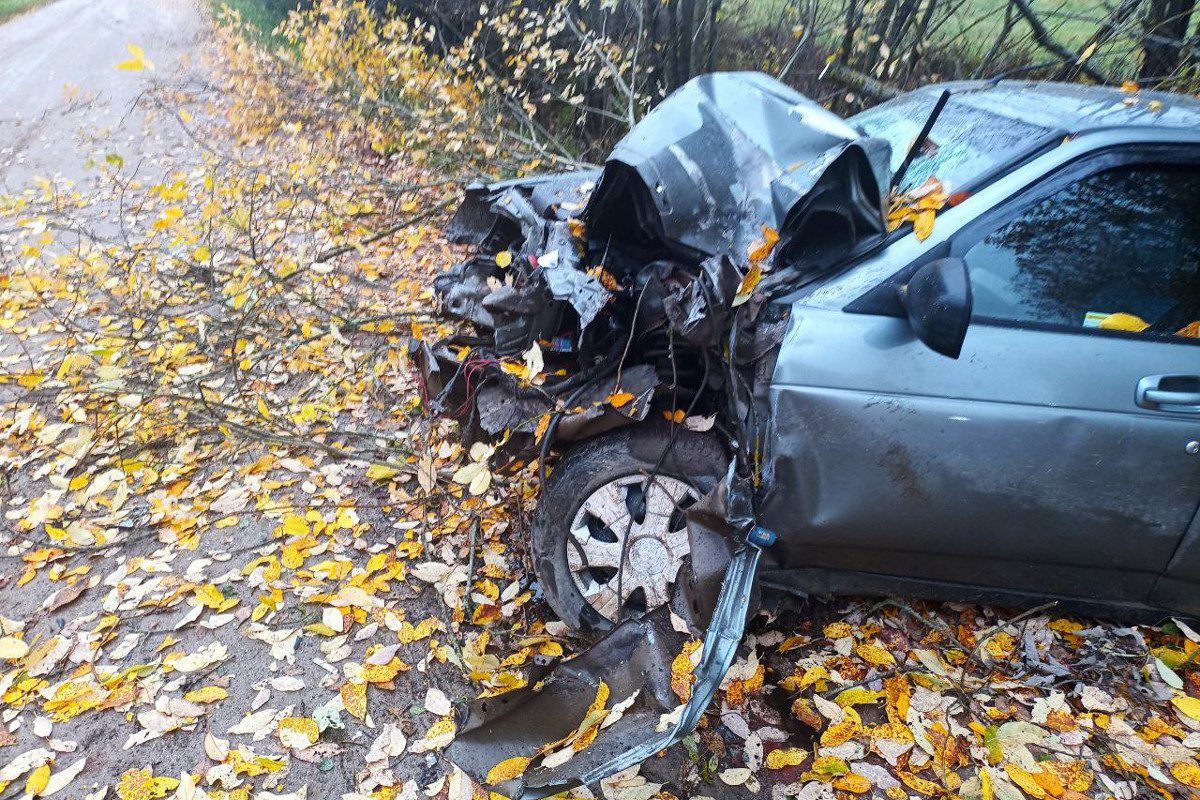 Передней части как не бывало