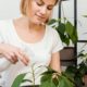 medium-shot-woman-watering-plant_23-2148826065