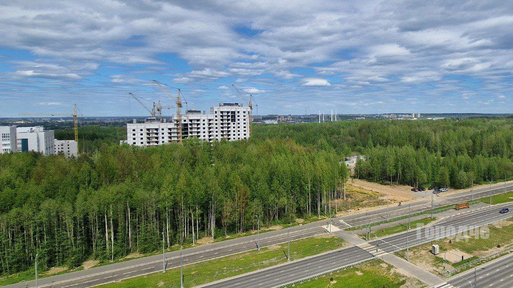 Стройка вдоль Шекснинского проспекта в Череповце